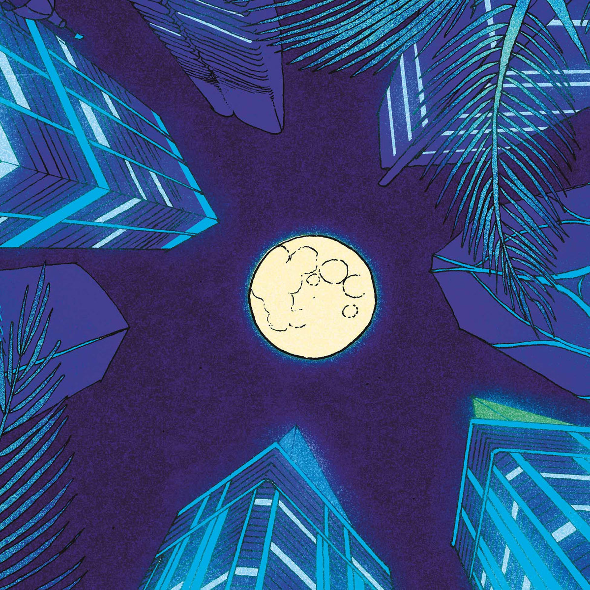 Live At The Fillmore Miami (Florida Edition) - Front Cover