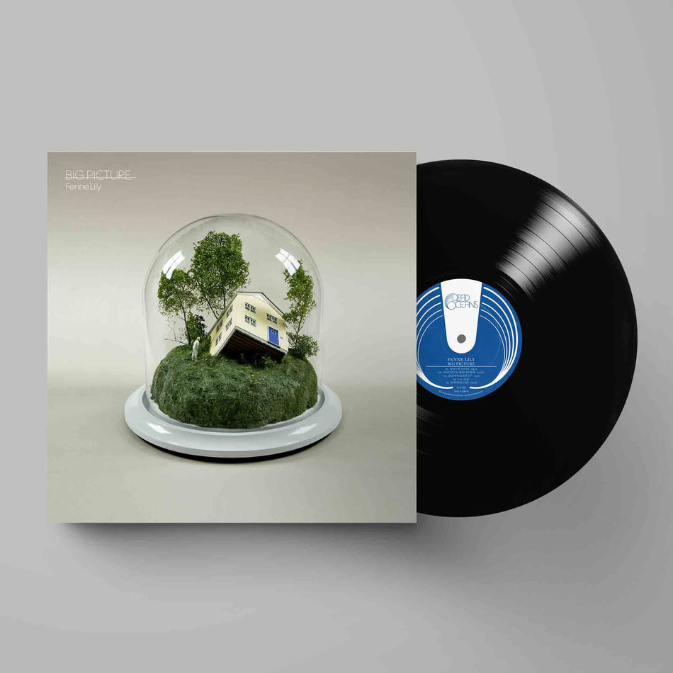 Big Picture - Front Cover