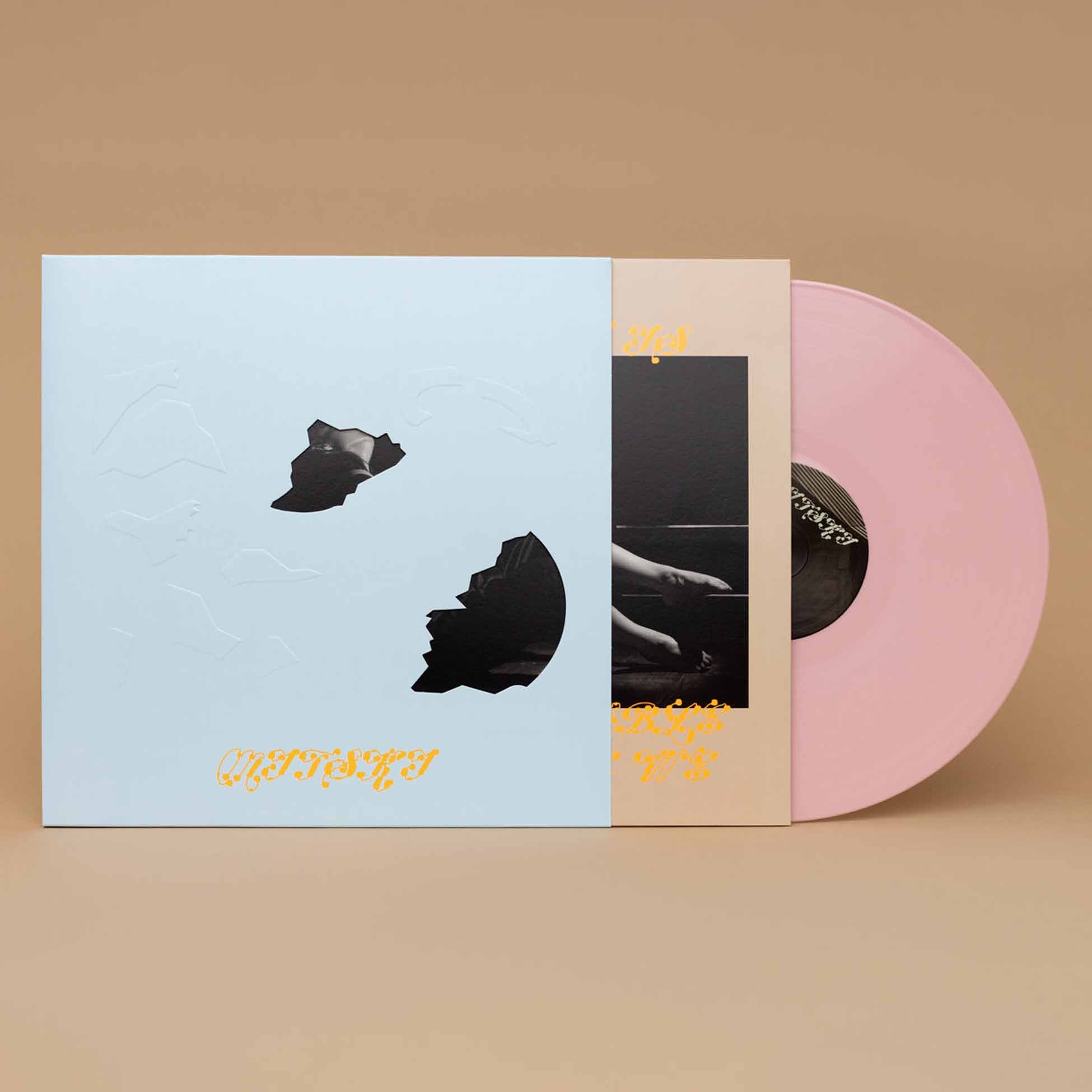 The Land Is Inhospitable And So Are We - Vinyle Rose - Front Cover