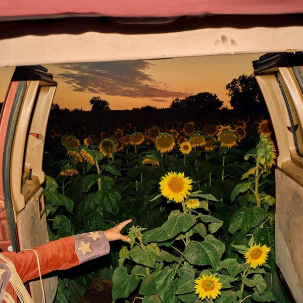 Little Wide Open - Front Cover