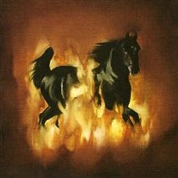 The Besnard Lakes are the dark horse - Front Cover