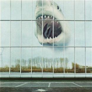 Wilderness Heart - Front Cover