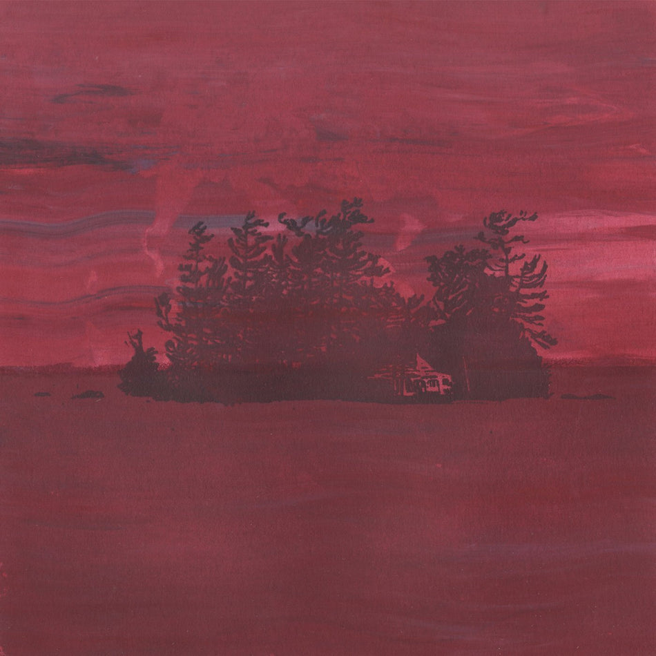 The Besnard Lakes Are The Divine Wi - Front Cover