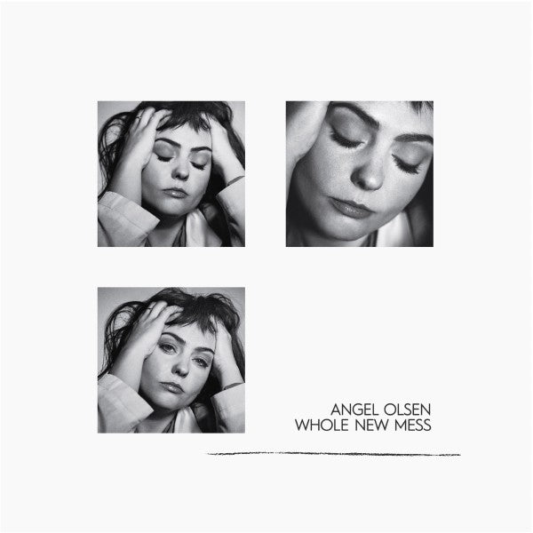 Whole New Mess - Front Cover