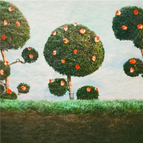 Painting The Roses - Front Cover