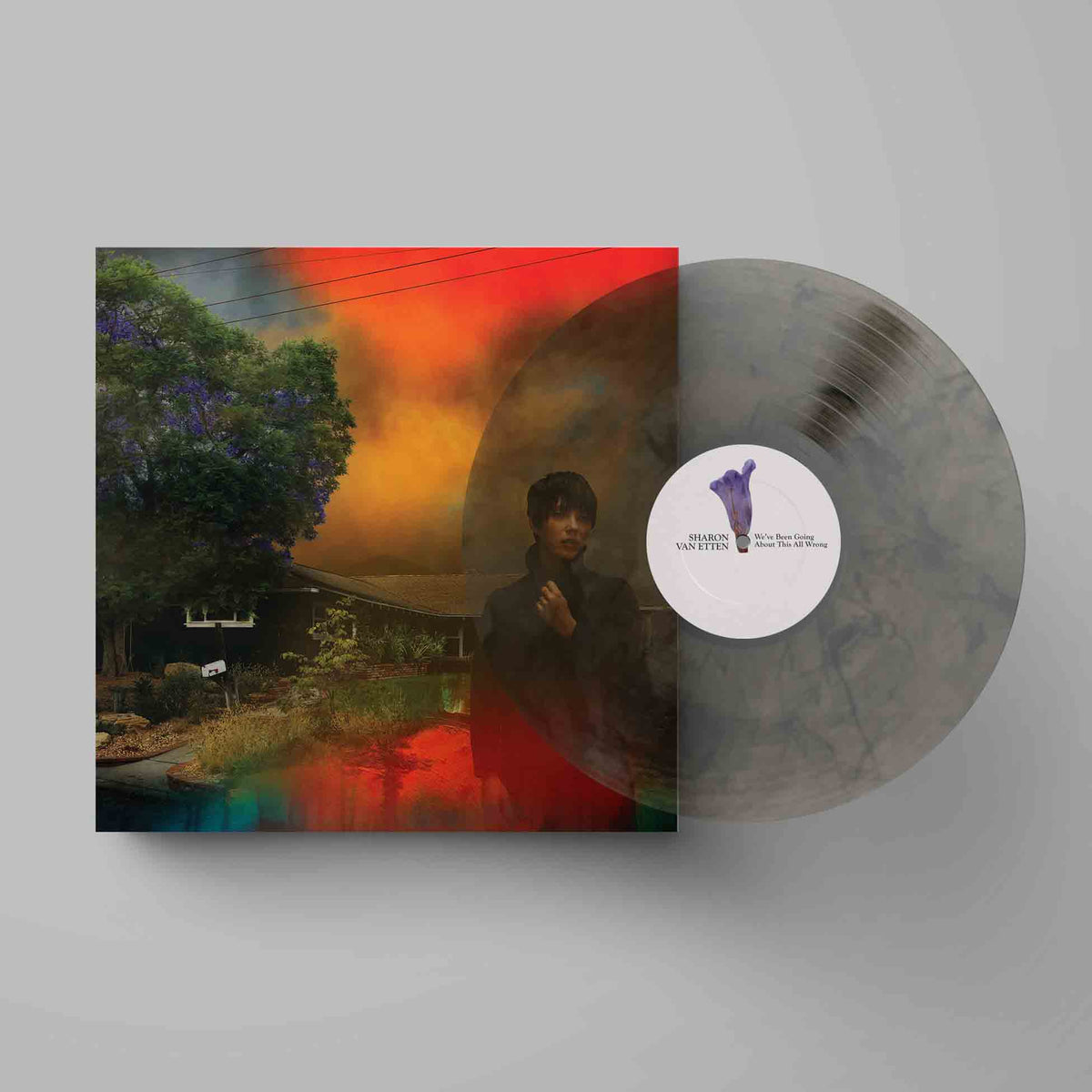 We’Ve Been Going About This All Wrong - Vinyle Marbré Gris - Front Cover