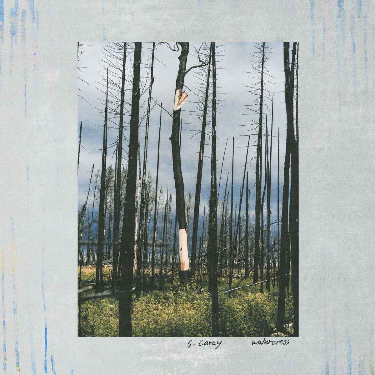 Watercress - Front Cover