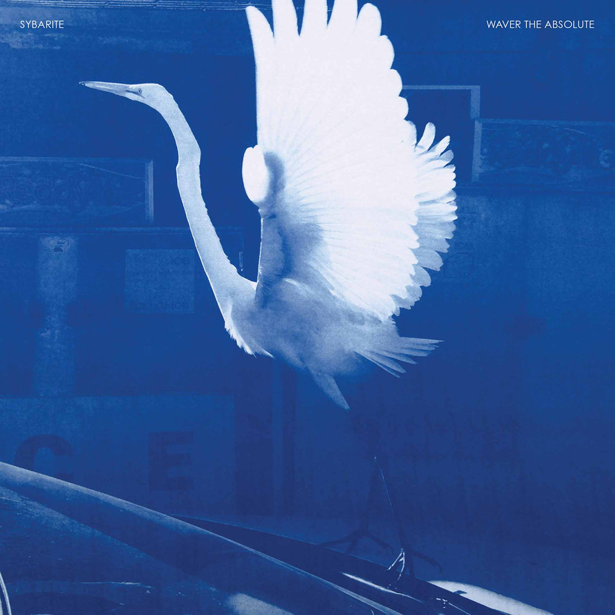 Waver The Absolute - Front Cover