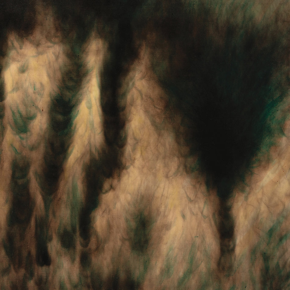 Lamentations - Front Cover