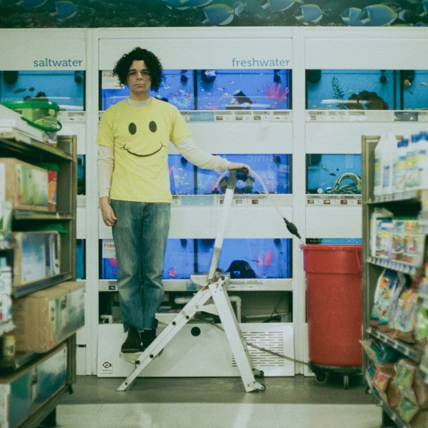 Count The Stairs - Front Cover