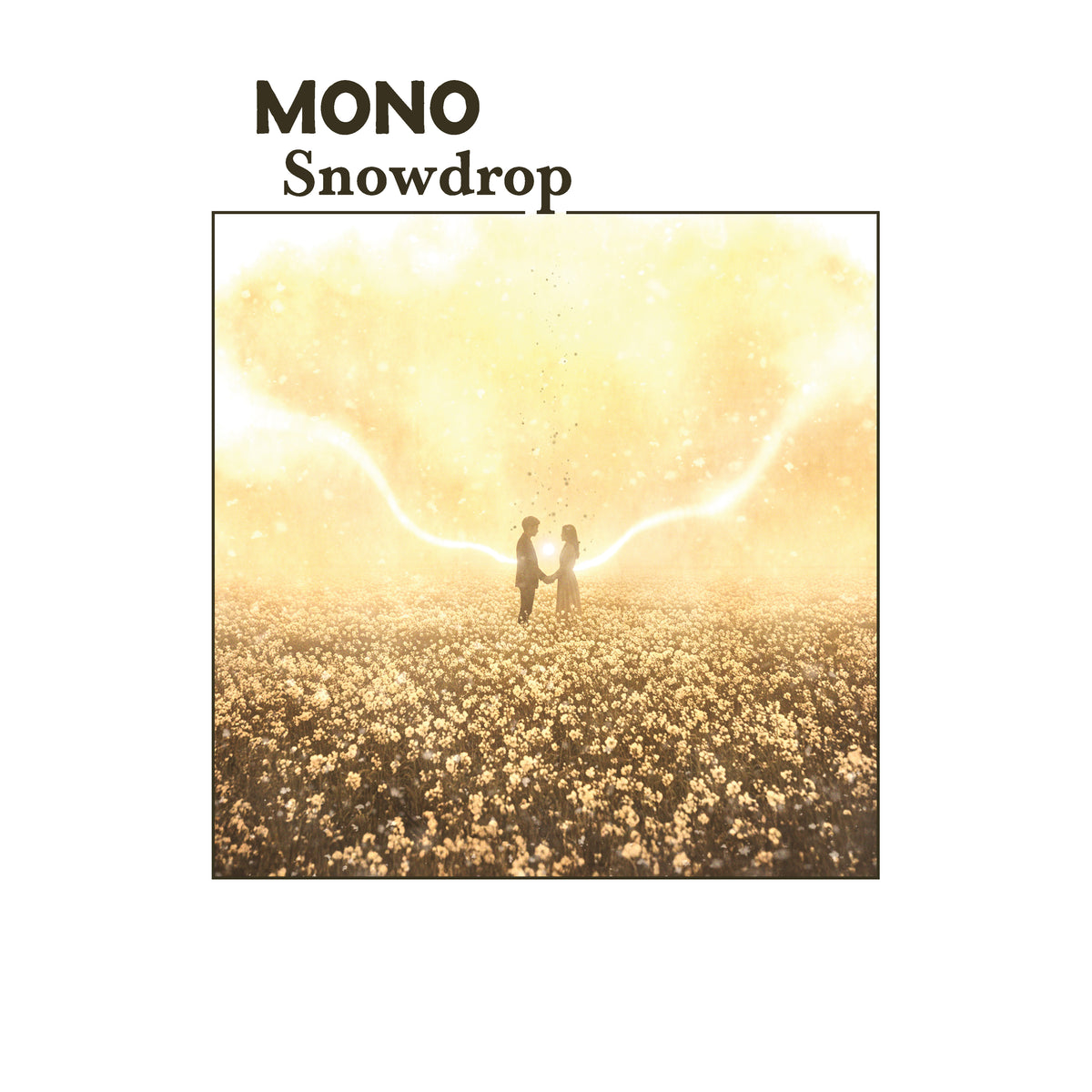 Snowdrop - Front Cover