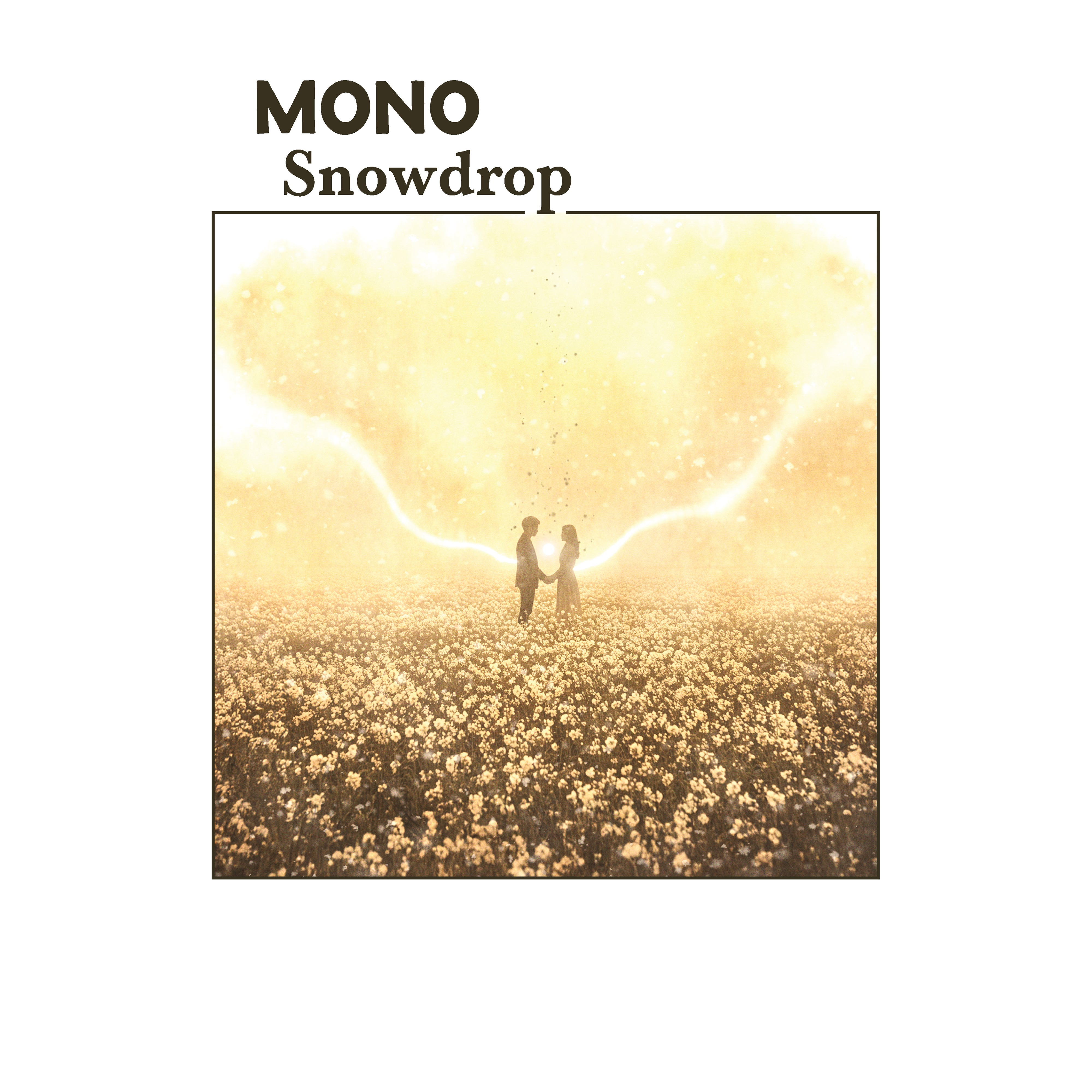 Snowdrop - Front Cover