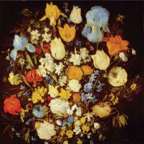 Navigated Like The Swans - Front Cover