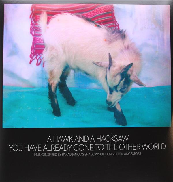 You Have Already Gone to the Other World - Front Cover