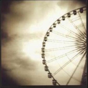 We like it wild - Front Cover