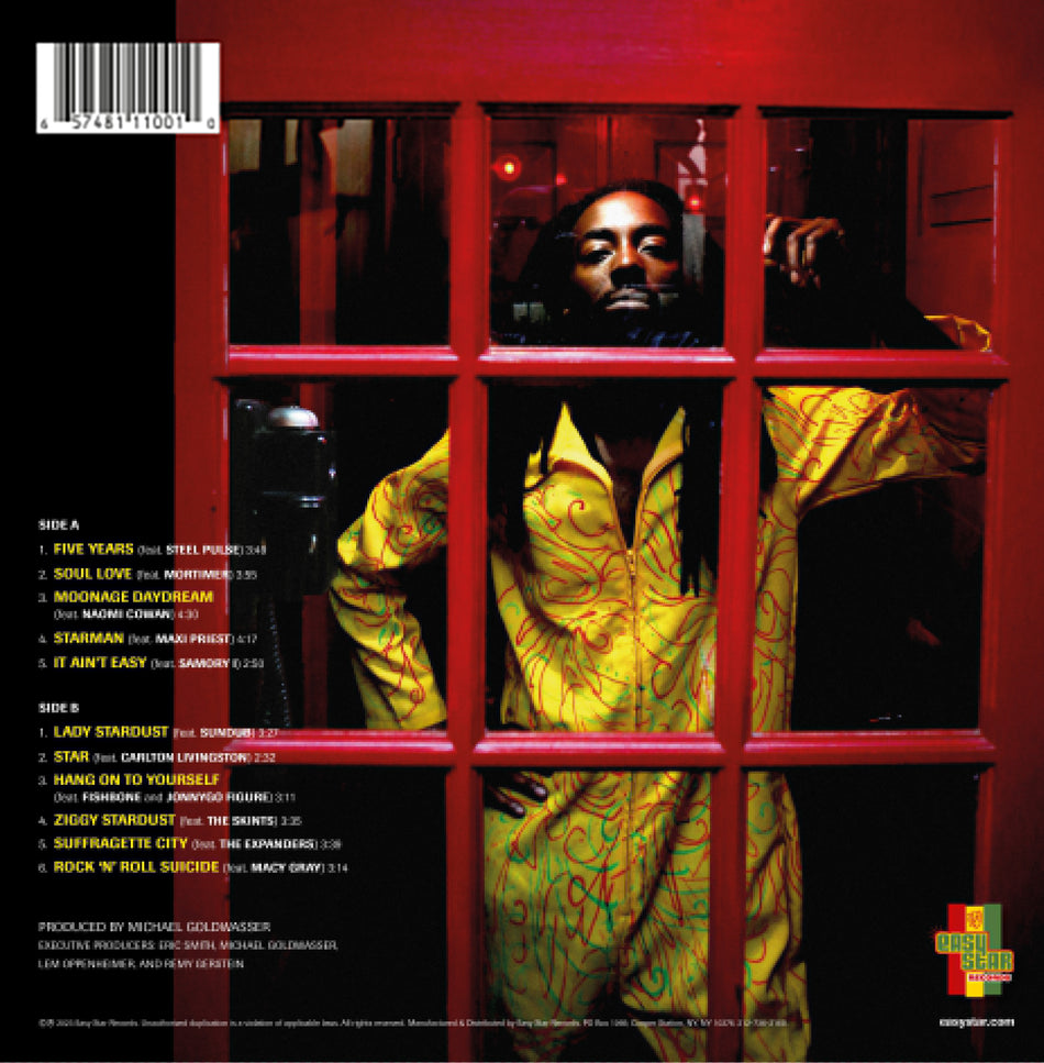 Ziggy Stardub - Back Cover