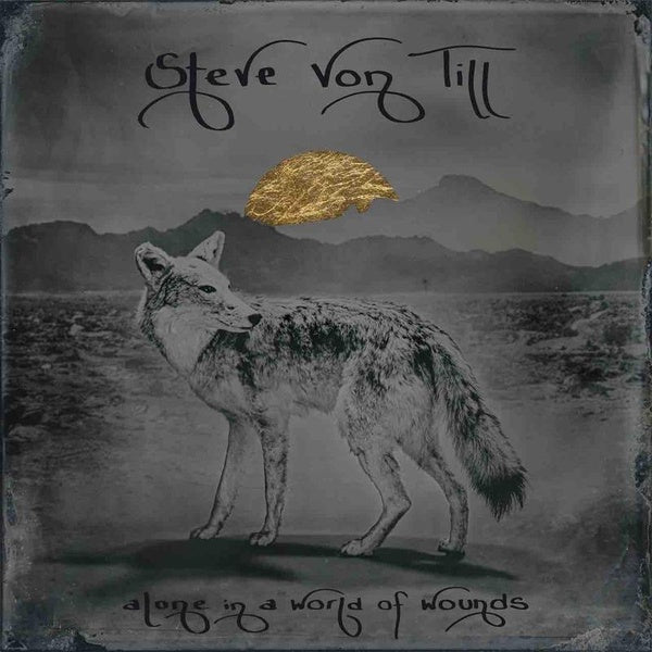 Alone In A World Of Wounds - Front Cover