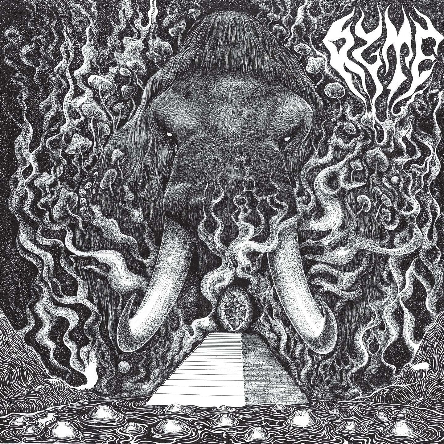 Ryte - Front Cover