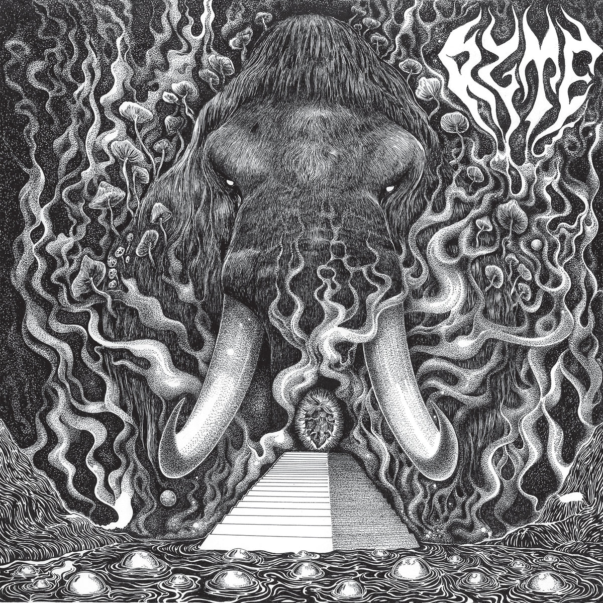 Ryte - Front Cover