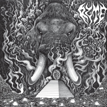 Ryte - Front Cover
