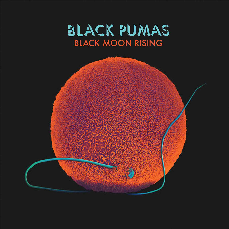 Black Moon Rising / Fire - Front Cover