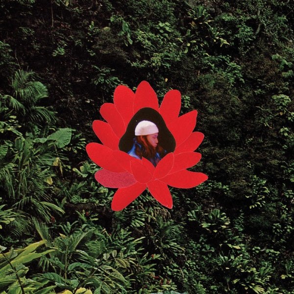 When The Flowers Bloom - Front Cover