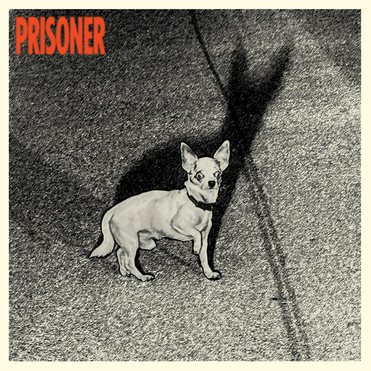 Prisoner - Front Cover