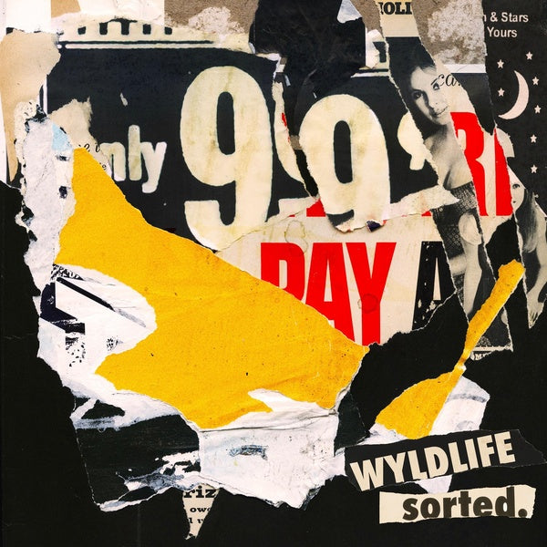 Sorted. - Front Cover
