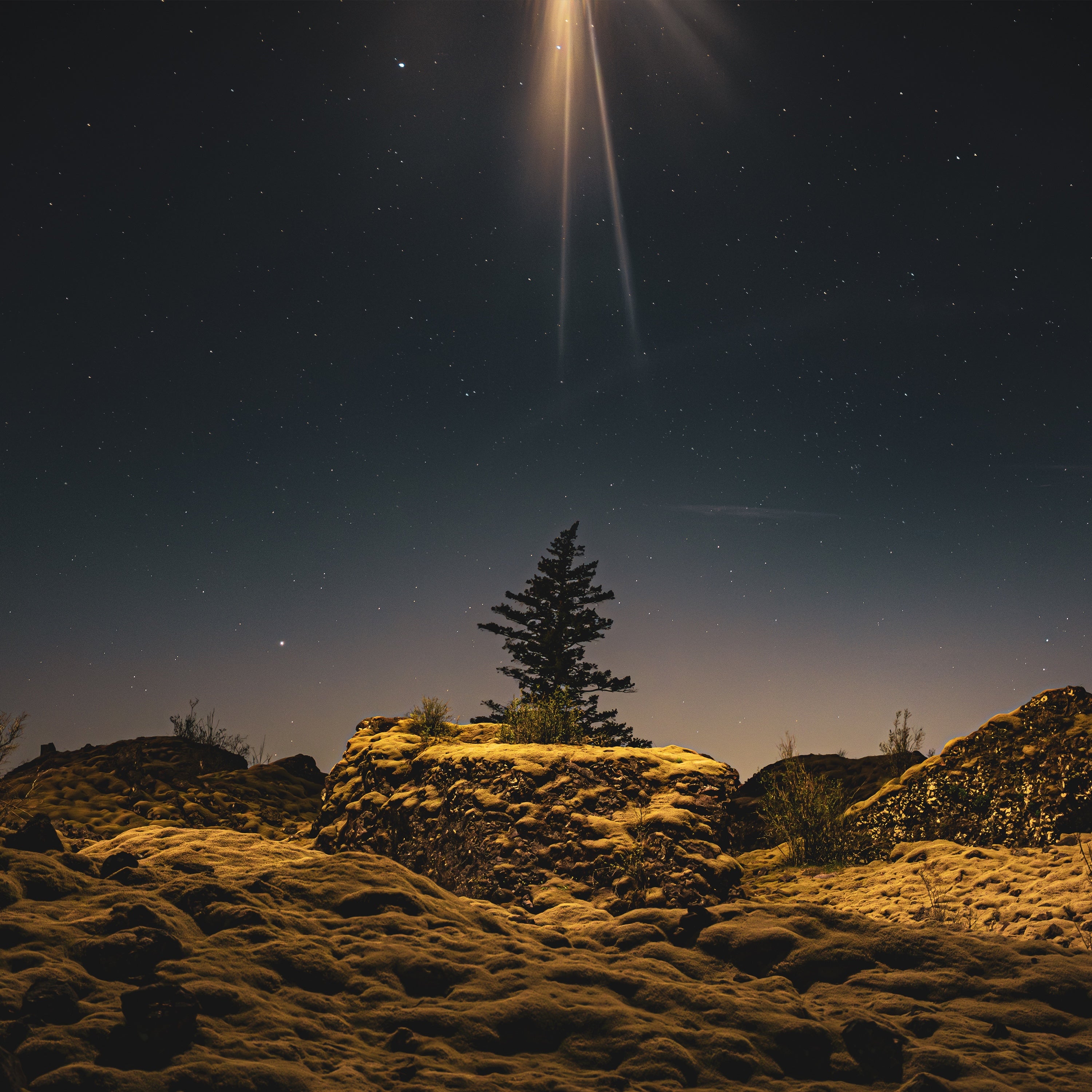 The Second Coming Was A Moonrise - Front Cover
