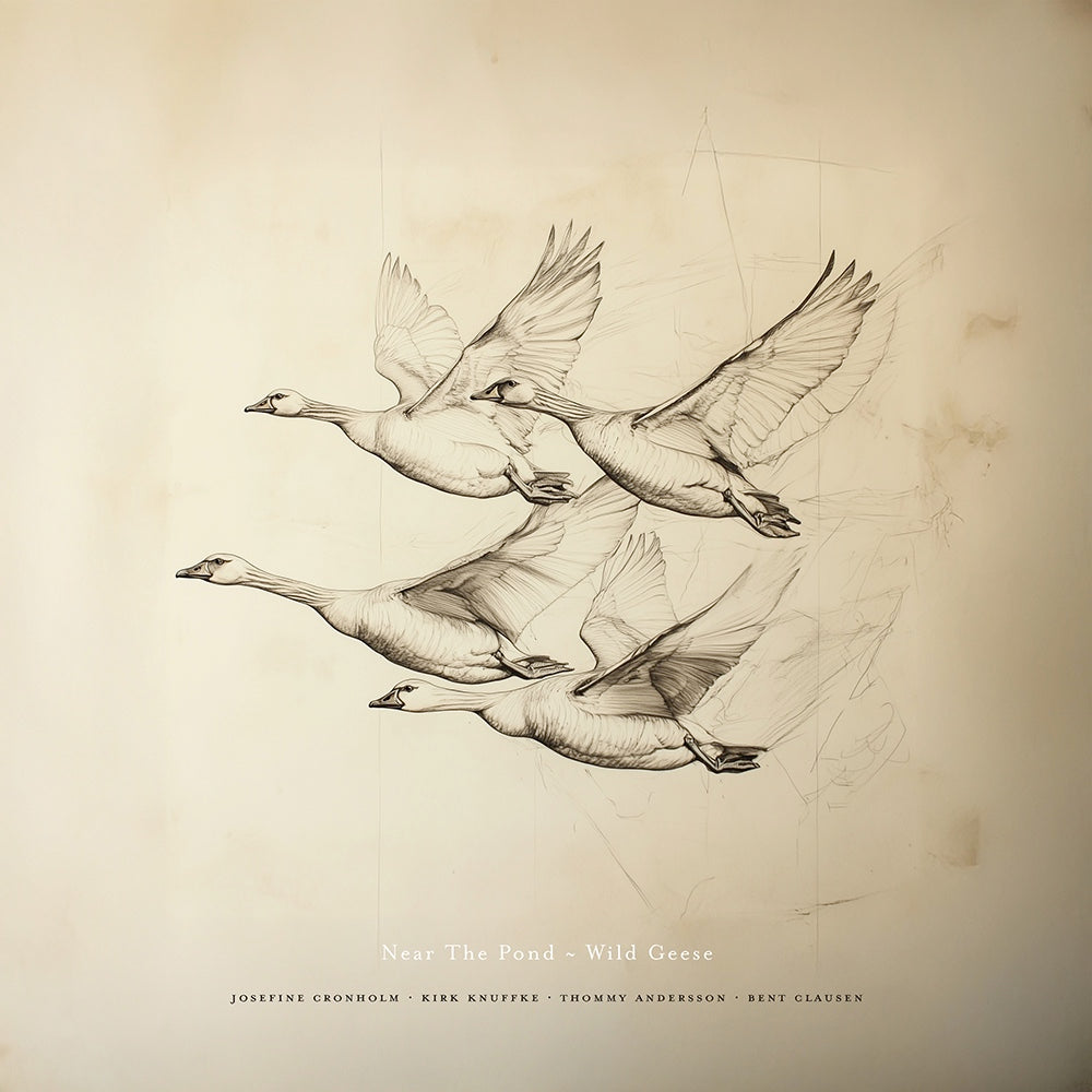 Wild Geese (Vinyle LP) / Near the Pond - Front Cover