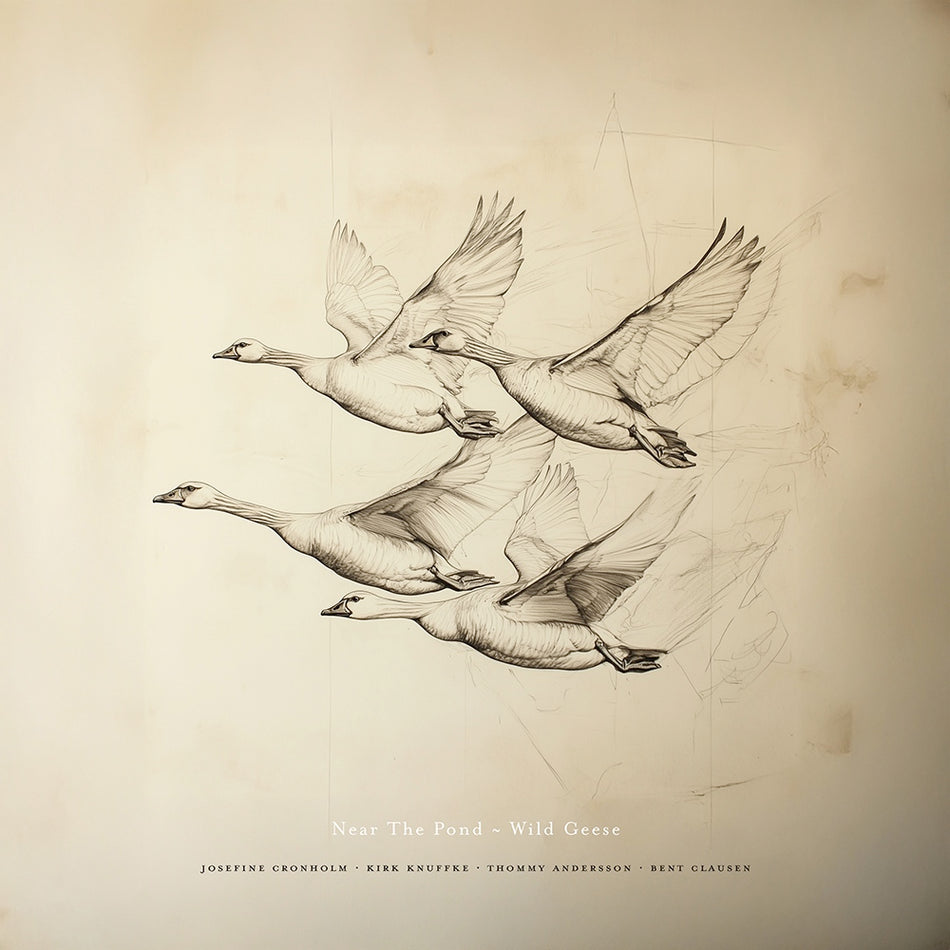 Wild Geese (Vinyle LP) / Near the Pond - Front Cover