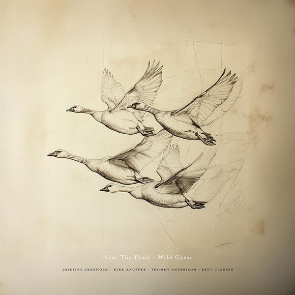 Wild Geese (Vinyle LP) / Near the Pond - Front Cover