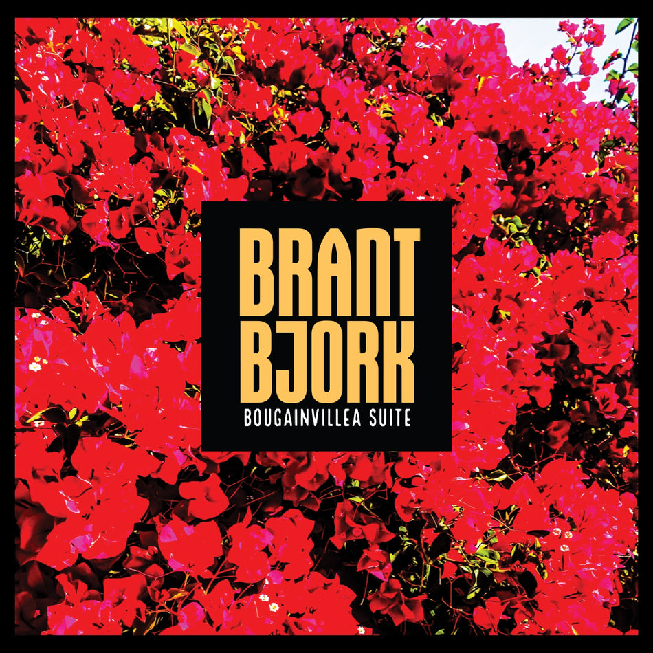 Bougainvillea Suite - Front Cover