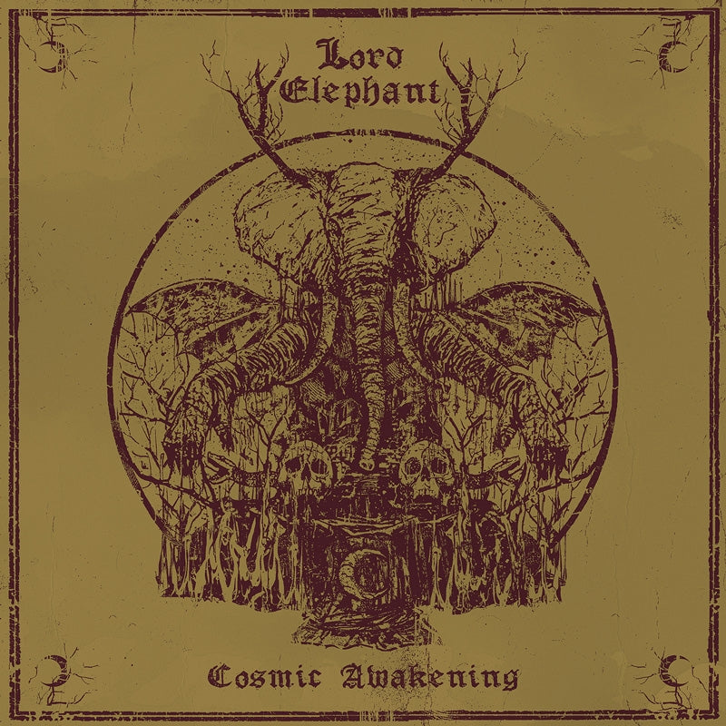 Cosmic Awakening - Front Cover