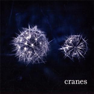 Cranes - Front Cover