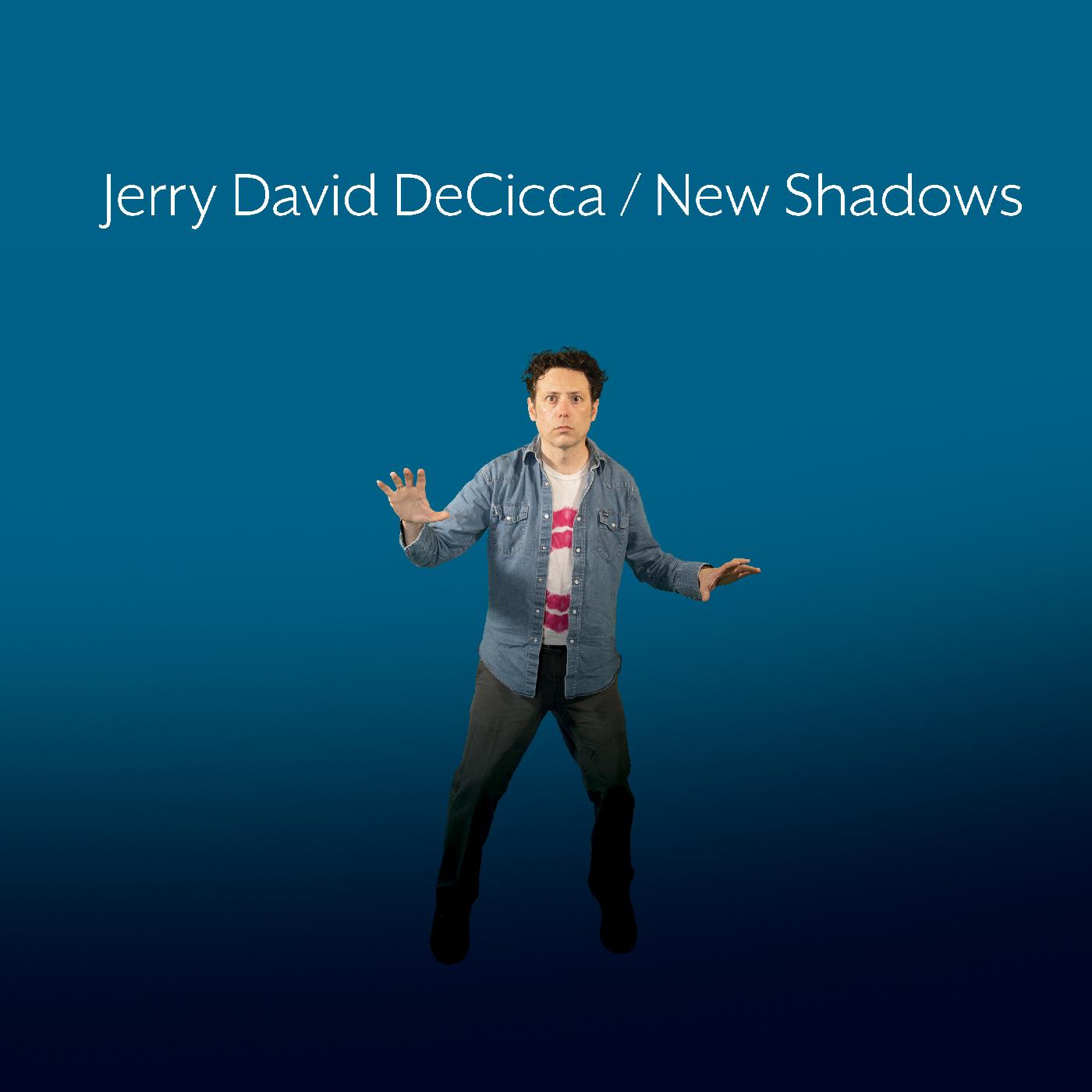 NEW SHADOWS/POCHETTE GATEFOLD - Front Cover