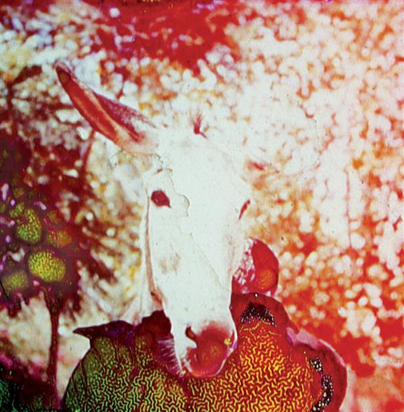 If He Dies, If If If If If If - Front Cover