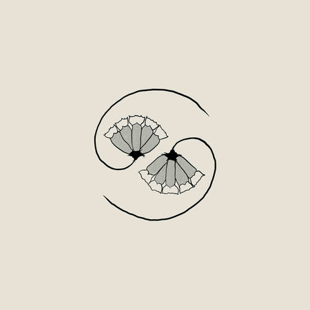 G_D'S Pee At State'S End! - Vinyle 180Gr + 10" - Front Cover