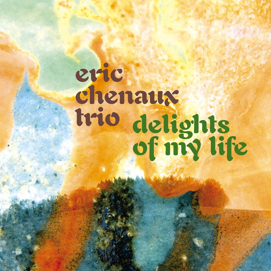 Delights Of My Life - Vinyle 180Gr - Front Cover