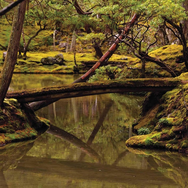 Reverie - Vinyle 180Gr - Front Cover