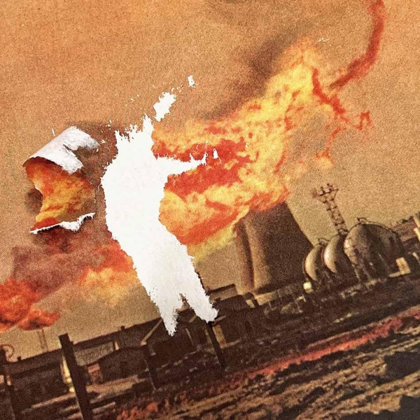 Sasquatch Landslide - Vinyle 180Gr - Front Cover