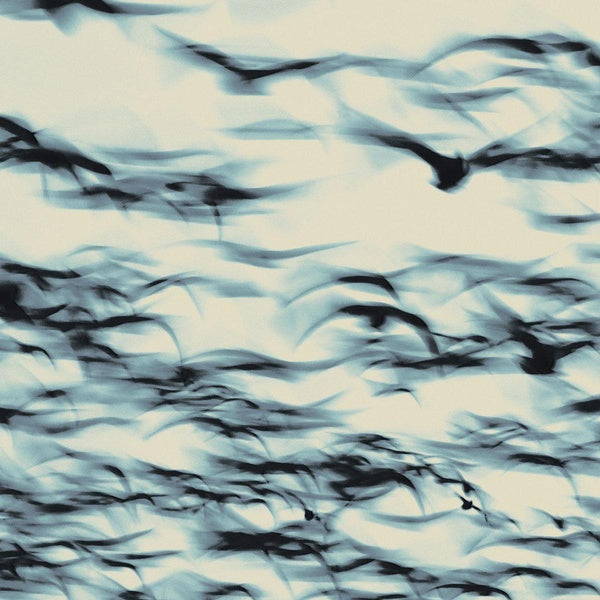 The Call - Vinyle 180Gr - Front Cover