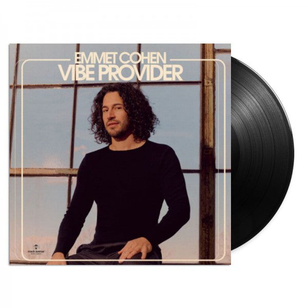 Vibe Provider - Front Cover