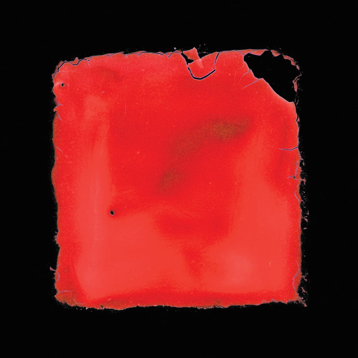 Last Chance To See - Front Cover