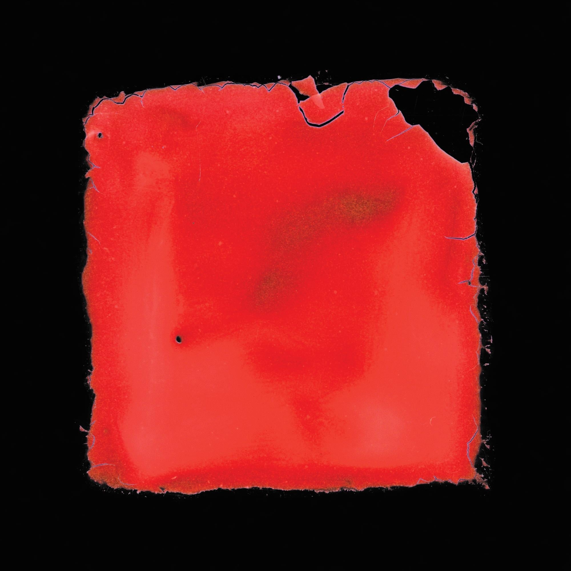 Last Chance To See - Front Cover