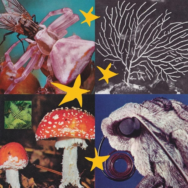 All Things Considered Vol.2 - Front Cover