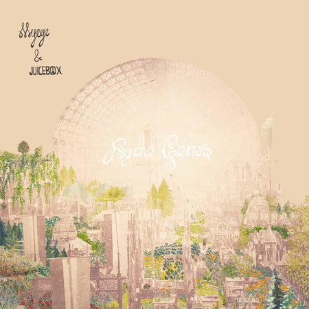 Psyche Gems - Front Cover