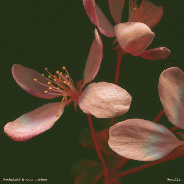 Semilla - Front Cover
