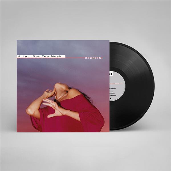 A Lot, Not Too Much - Front Cover