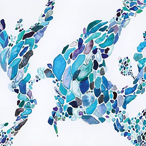 Shades - Front Cover